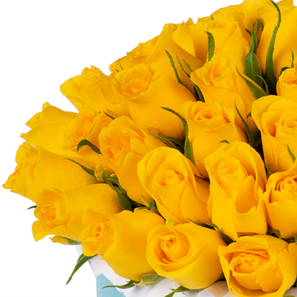 51 желтая роза в бархатной шляпной коробке