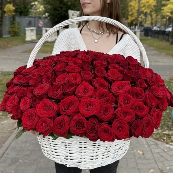 151 красная роза в корзине