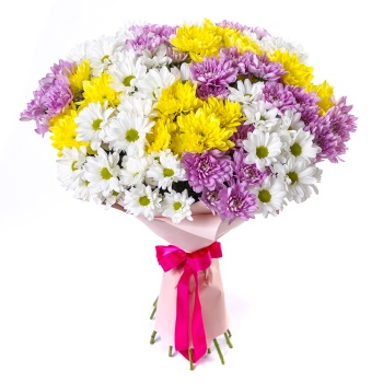 Букет из 21 разноцветной хризантемы