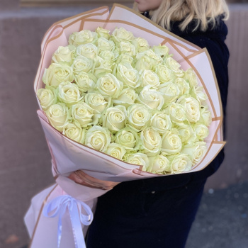 51 белая роза Эквадор 70 см