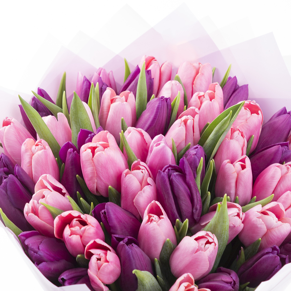 Букет из 51 разноцветного тюльпана