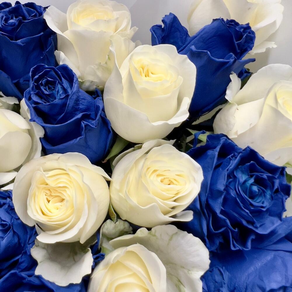 Букет из 25 синих и белых роз Эквадор
