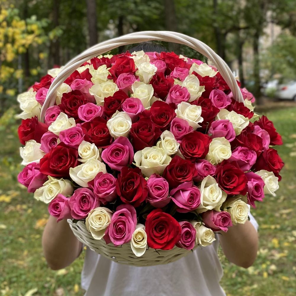 101 роза микс в корзине с лентой