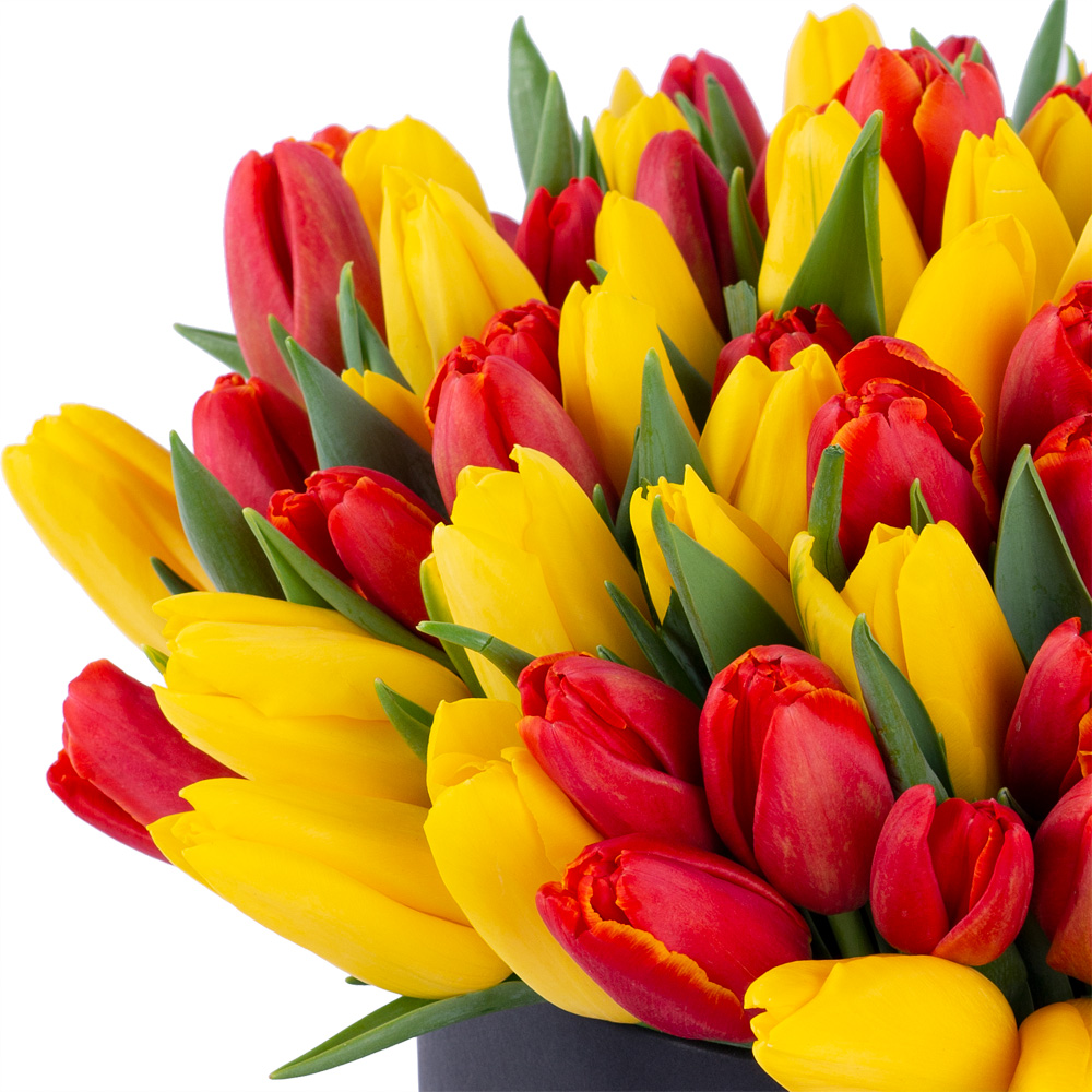 Букет из 101 разноцветного тюльпана в черной шляпной коробке
