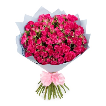 25 малиновых кустовых роз