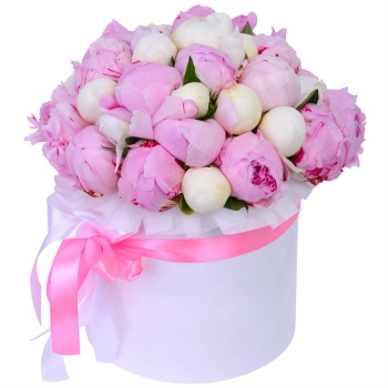 Букет из 35 разноцветных пионов в белой шляпной коробке