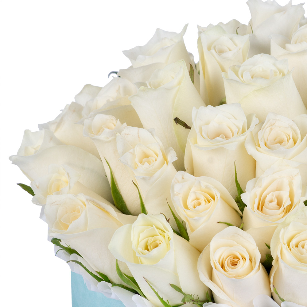 51 белая роза в бархатной шляпной коробке