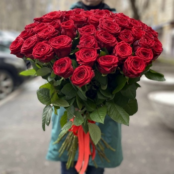 51 красная роза Premium 70 см