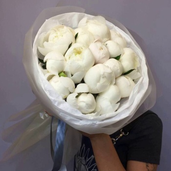 Букет из 15 белых пионов