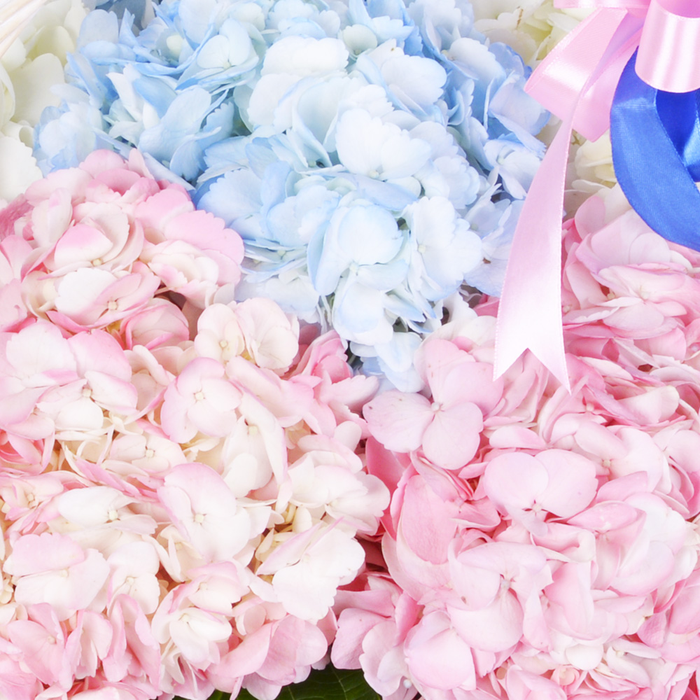 Корзина 7 Гортензий