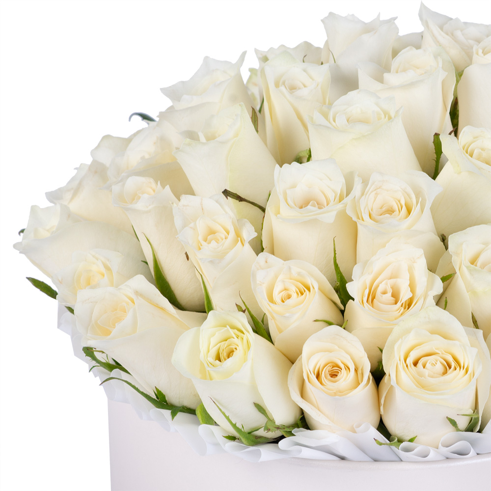 51 белая роза в белой шляпной коробке