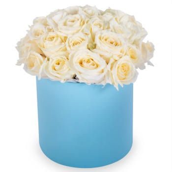 Букет из 35 белых роз premium в голубой шляпной коробке