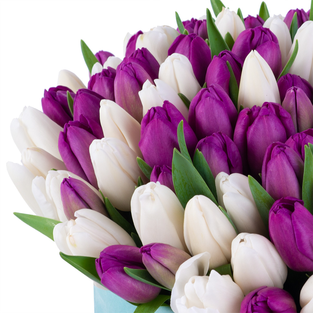 101 разноцветный тюльпан в зеленой бархатной коробке шляпной коробке