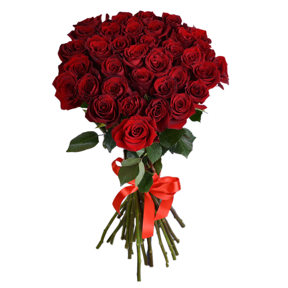 35 красных роз Эквадор 70 см