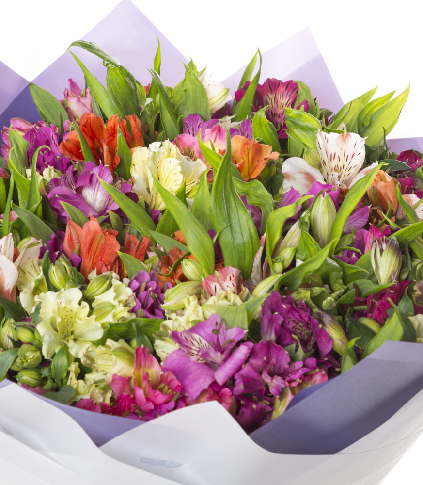 Букет из 51 разноцветной альстромерии