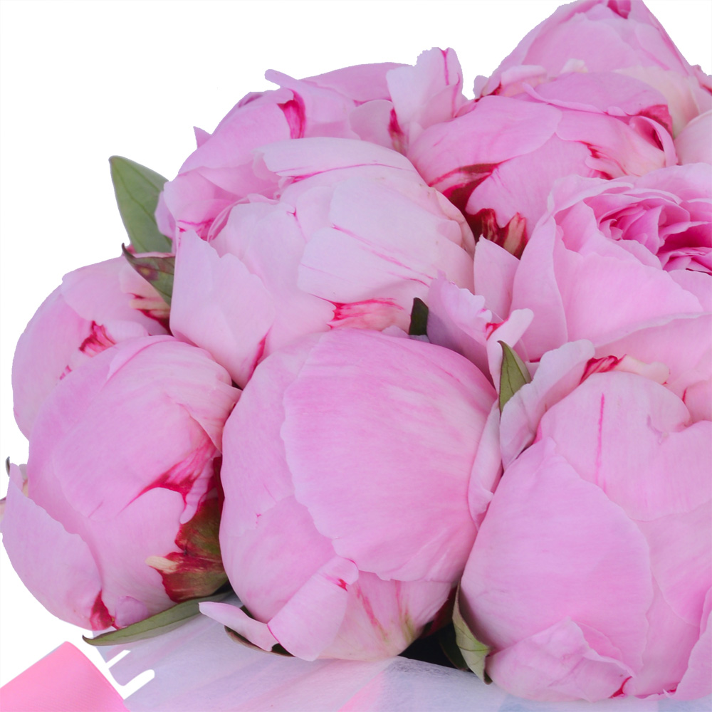 Букет из 19 розовых пионов в голубой шляпной коробке