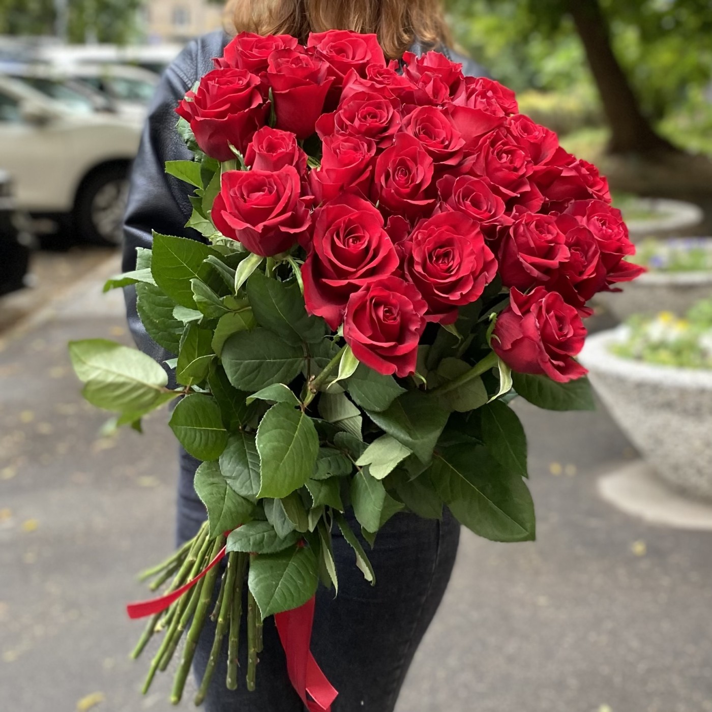 25 красных роз Эквадор 70 см