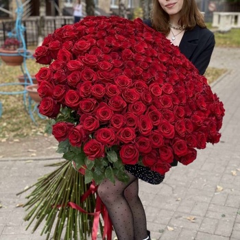 201 красная роза Premium Эквадор 100 см.