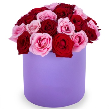 Букет из 35 разноцветных роз premium в фиолетовой шляпной коробке