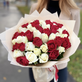 51 роза белого и красного цвета 40 см