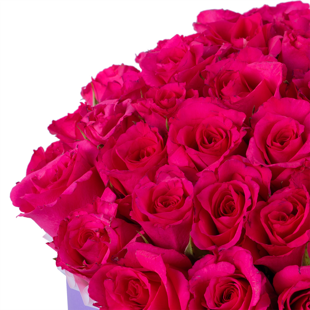 35 малиновых роз в фиолетовой шляпной коробке