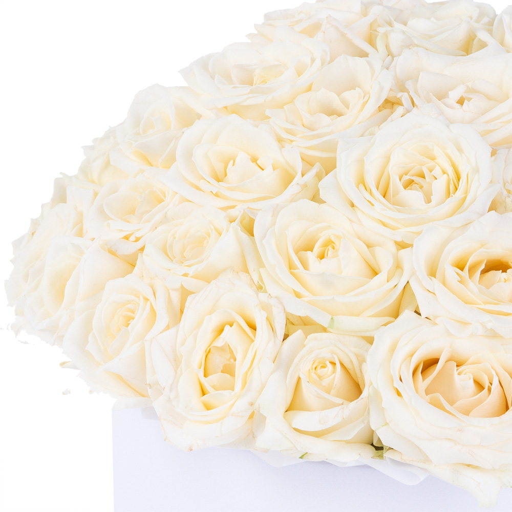 Букет из 51 белой розы premium в белой шляпной коробке