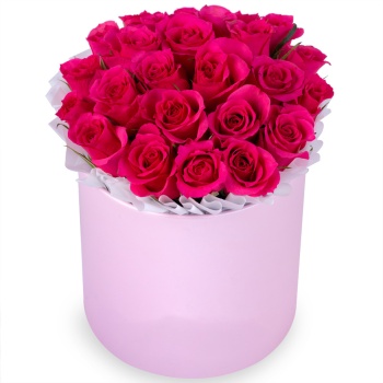 25 малиновых роз в розовой шляпной коробке
