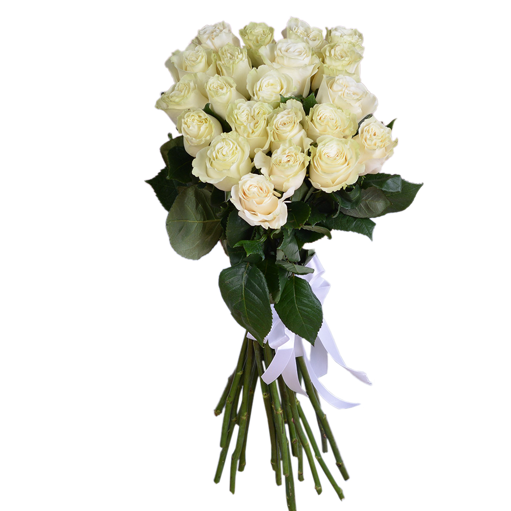 Букет из 21 белой розы Эквадор 70 см