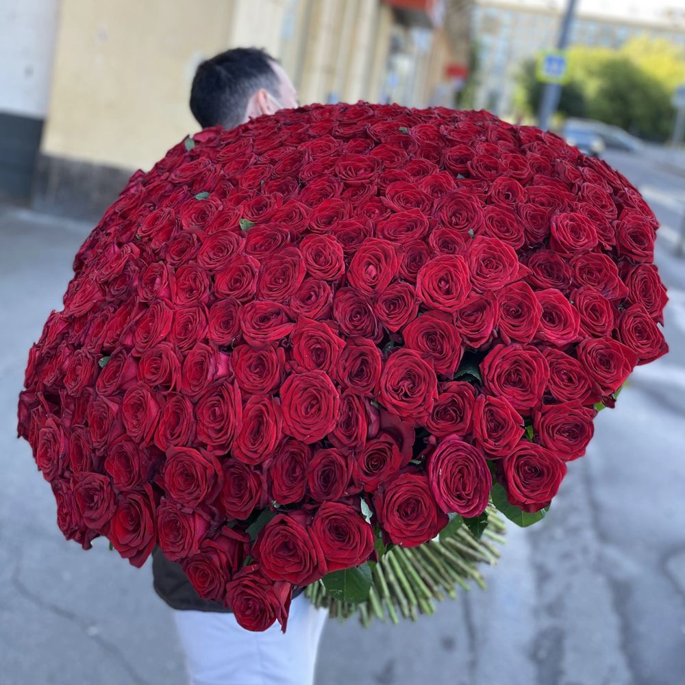 301 красная роза 60 см.