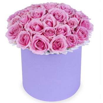 25 розовых роз premium в фиолетовой шляпной коробке