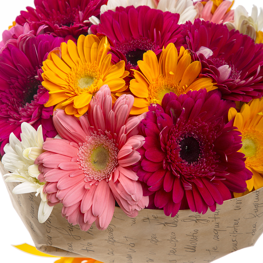 Букет из 21 разноцветной герберы