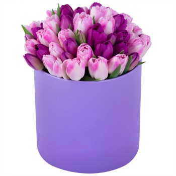 Разноцветный 51 тюльпан в фиолетовой шляпной коробке