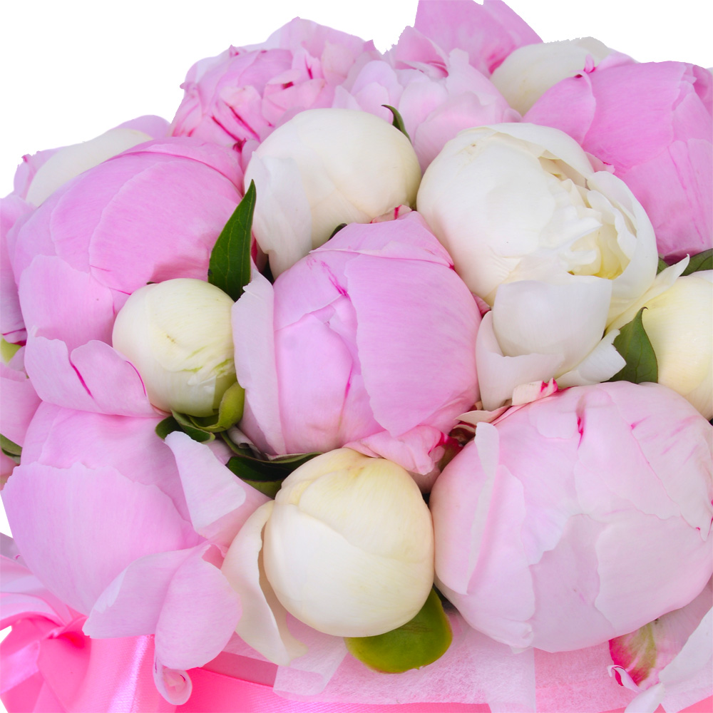 Букет из 25 разноцветных пионов в розовой шляпной коробке