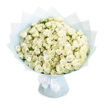 51 белая кустовая роза