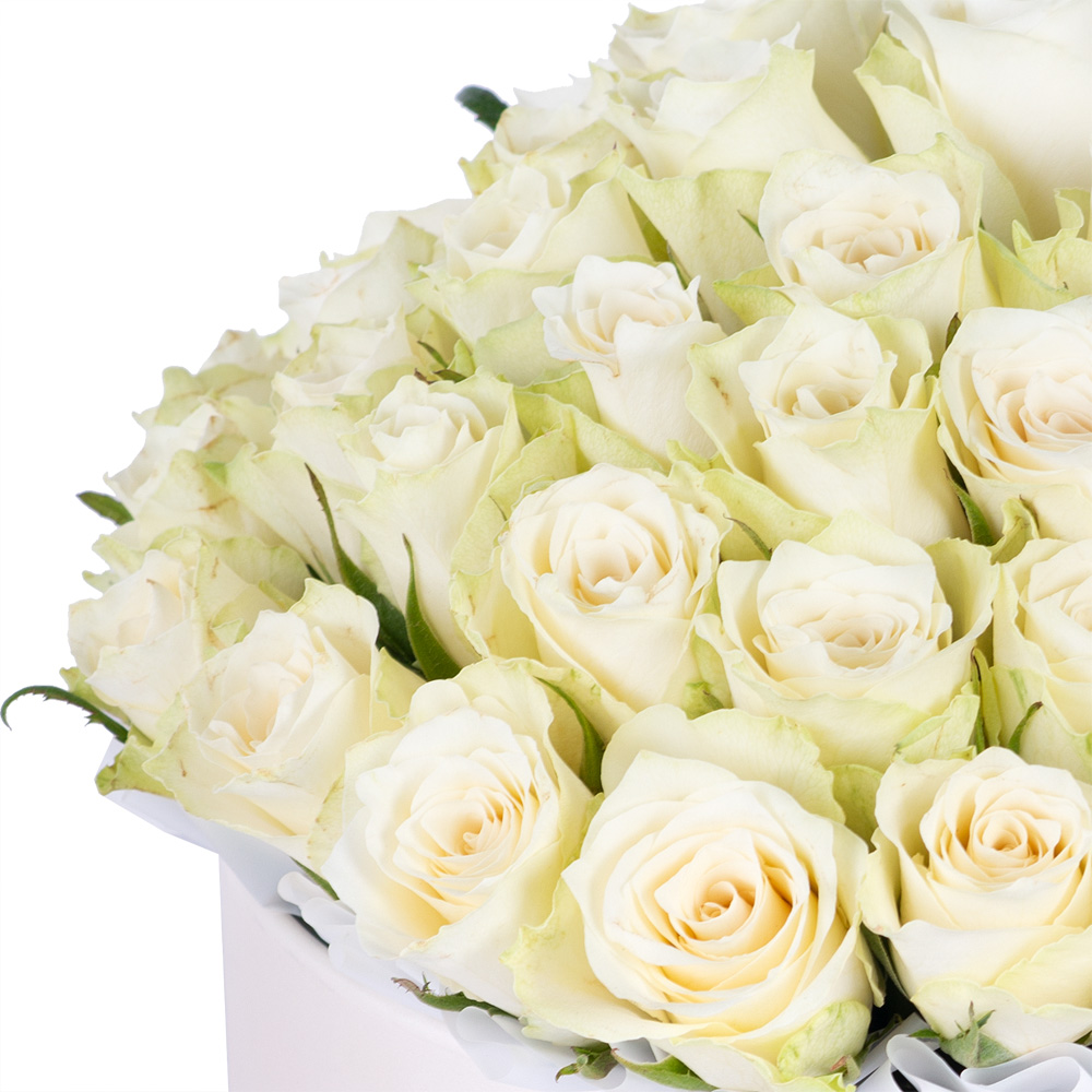 Букет из 75 белых роз в кремовой шляпной коробке