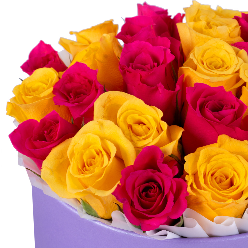 25 разноцветных роз в фиолетовой шляпной коробке