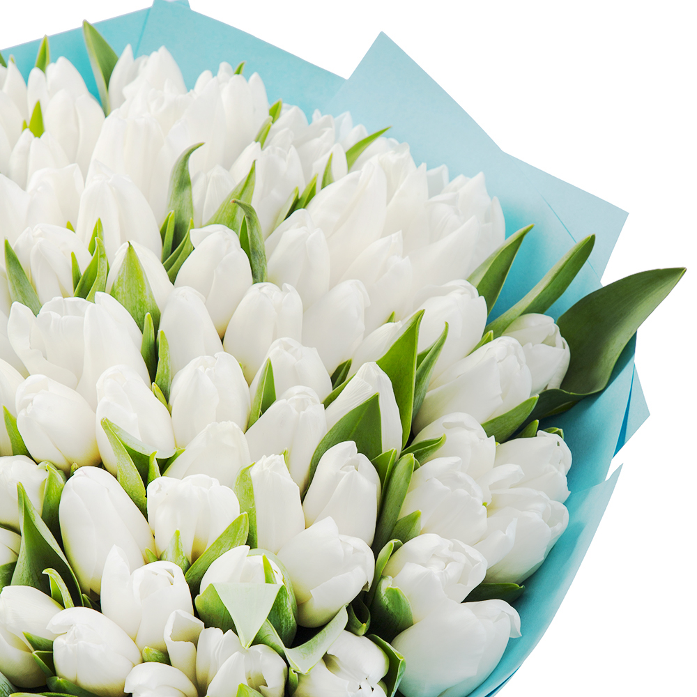 101 белый тюльпан