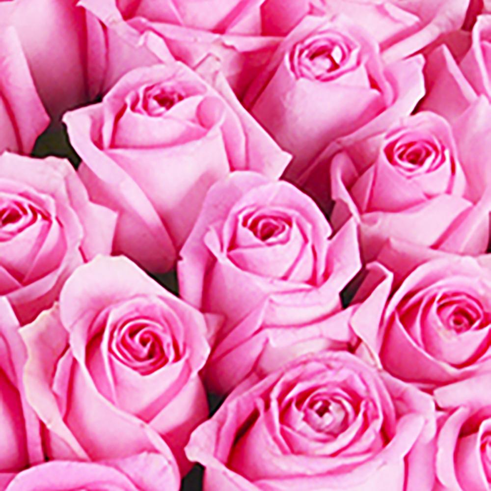 Букет из 101 розовой розы