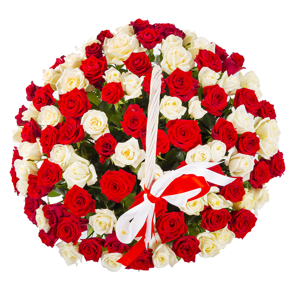 101 красная и белая роза в корзине