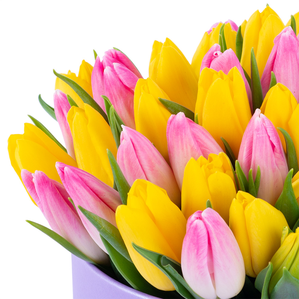 51 разноцветных тюльпан в фиолетовой шляпной коробке