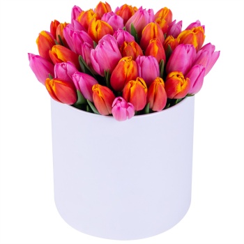 Букет микс из 51 тюльпана в белой шляпной коробке