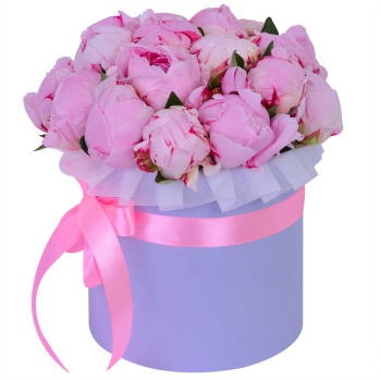 Букет из 19 розовых пионов в фиолетовой шляпной коробке