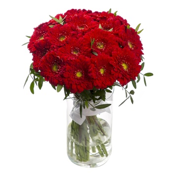 21 красная гербера