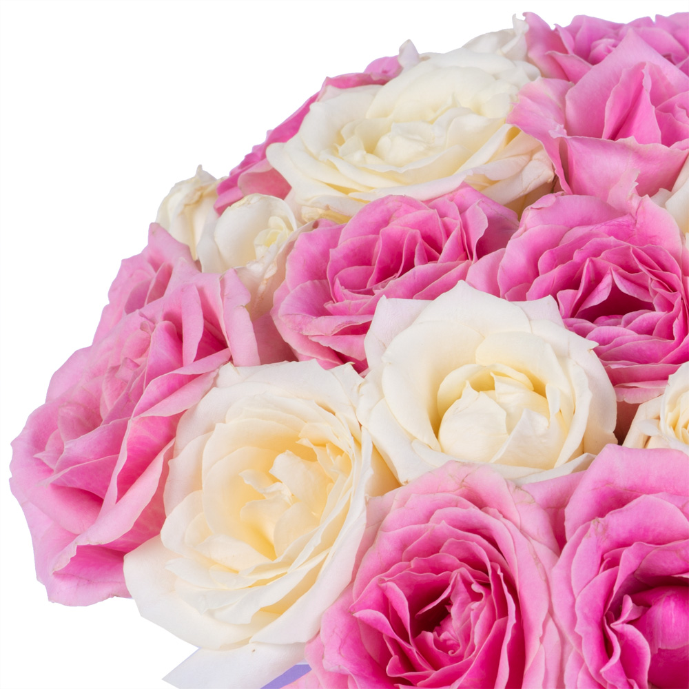 25 разноцветных роз premium в фиолетовой шляпной коробке