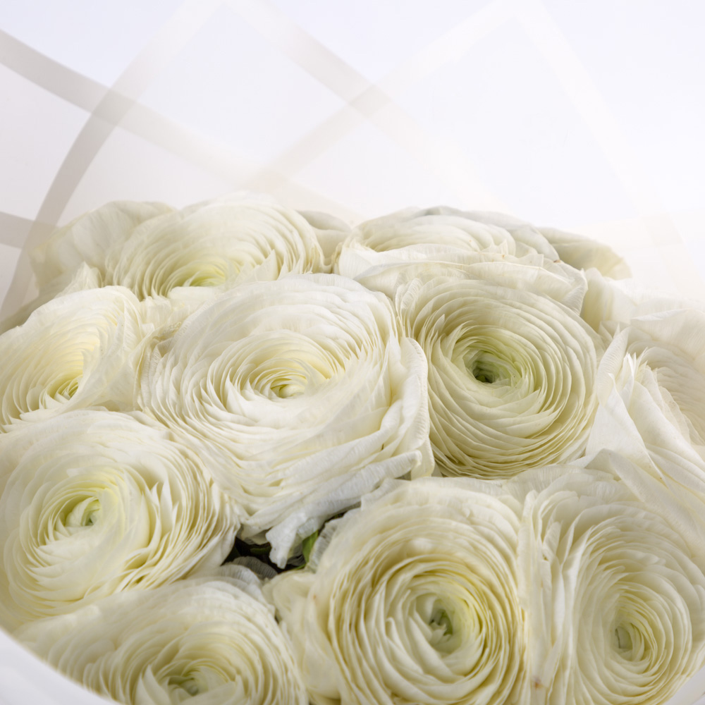 Букет из 15 белых ранункулюсов