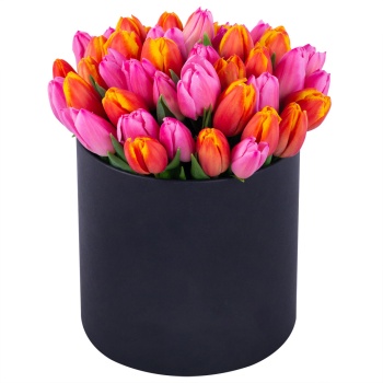 Букет микс из 51 тюльпана в черной шляпной коробке