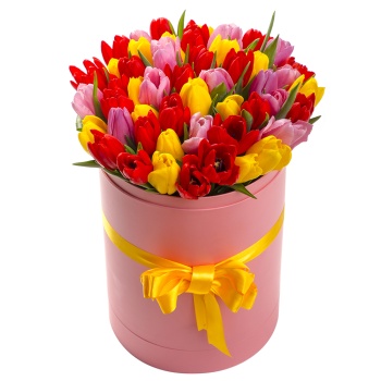 51 тюльпан в шляпной коробке