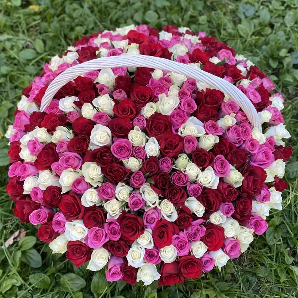 301 роза Яркий микс в корзине