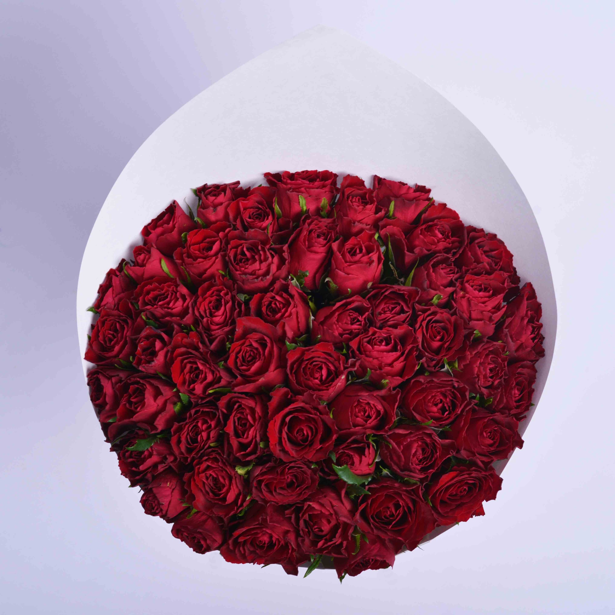Букет из 51 красной розы